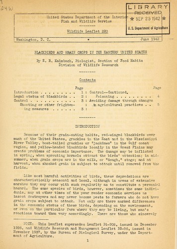 Blackbirds and grain crops in the eastern United States
