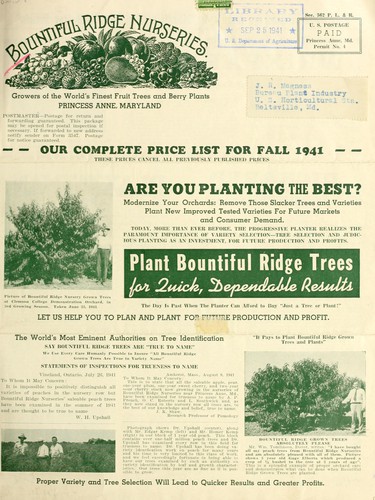 Bountiful ridge nurseries