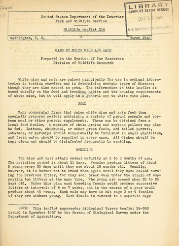 Care of white mice and rats