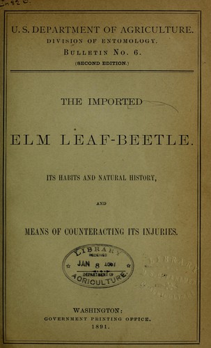 The imported leaf-beetle
