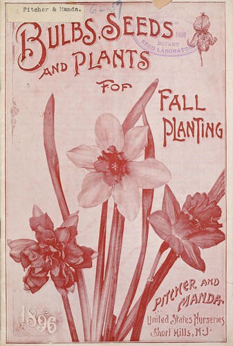 Bulbs, seeds and plants for fall planting