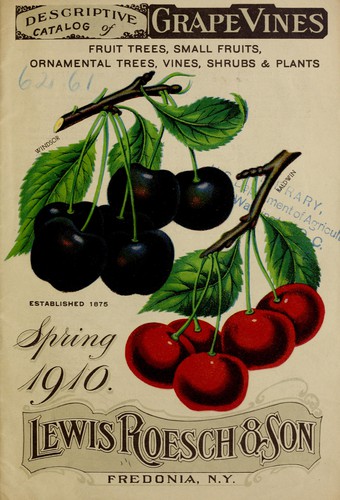 Descriptive catalog of grape vines