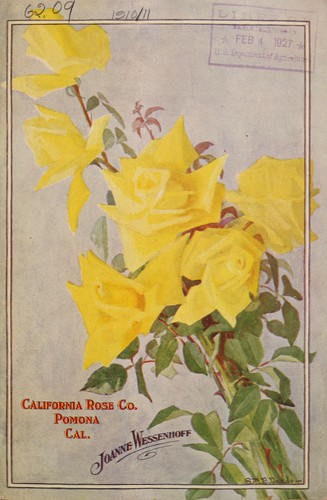 Illustrated and descriptive book of field-grown roses