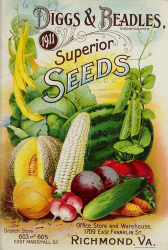 1911 superior seeds