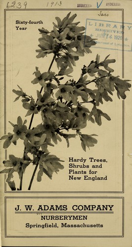 Hardy trees, shrubs and plants for New England