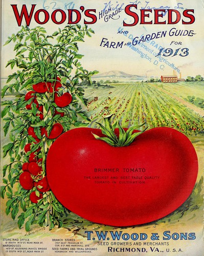 Wood's high grade seeds and farm and garden guide for 1913