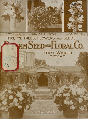 Fruits, trees, flowers and seeds