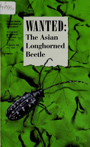 Wanted, the Asian longhorned beetle