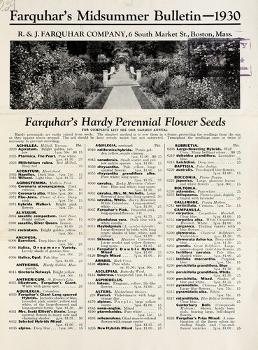 Farquhar's midsummer bulletin