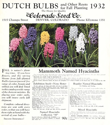 Dutch bulbs and other roots for fall planting, 1932