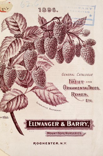 [Ellwanger & Barry's general catalogue]