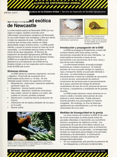 Enfermedad exotica de Newcastle
