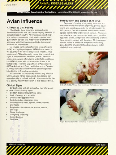 Exotic Newcastle disease