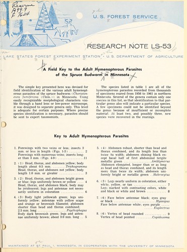 A field key to the adult hymenopterous parasites of the spruce budworm in Minnesota