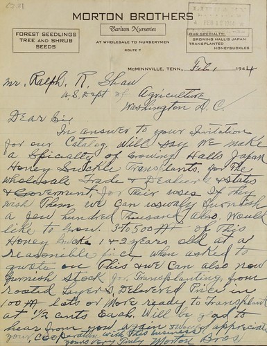 Forest tree seedlings, tree and shrub seeds