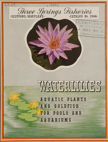 Waterlilies, aquatic plants and goldfish for pools and aquariums
