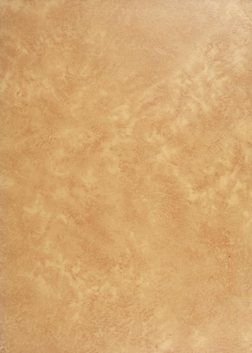 The history of the Royal Society of London for Improving of Natural Knowledge