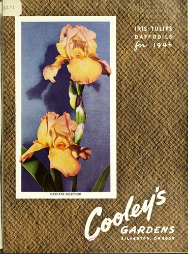Iris tulips daffodils for 1946
