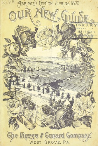 Our new guide to rose culture