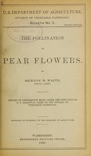 Pollination of pear flowers