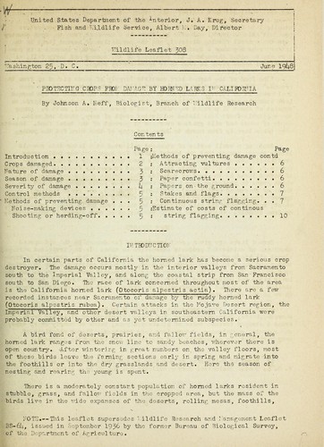 Protecting crops from damage by horned larks in California