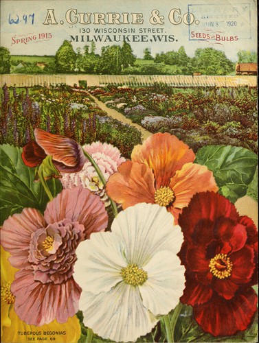 Spring 1915