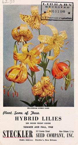 Summer and fall, 1948