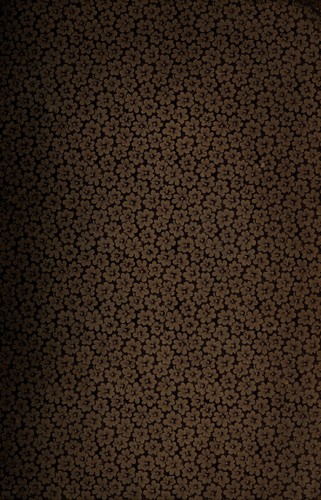 Zachariae Lilii Vicentini canonici regularis Orbis breuiarium fide, compendio, ordineq[ue] captu ac memoratu facillimum foelix et gratus legito