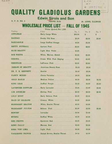 Quality gladiolus gardens