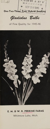 One- two- three year hybrid seedling