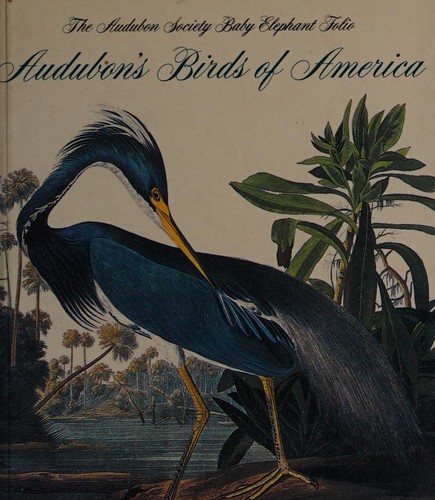 Audubon's birds of America