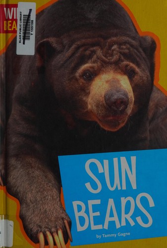 Sun bears