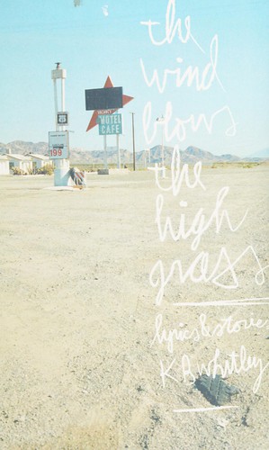 The wind blows the high grass