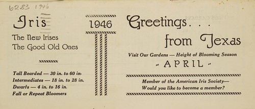 Iris, 1946