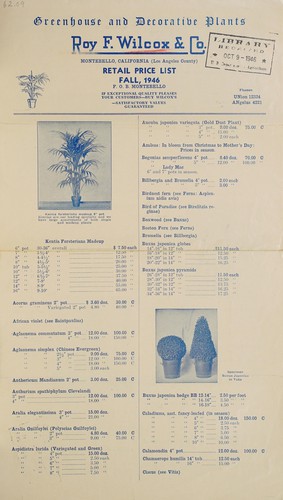 Greenhouse and decorative plants