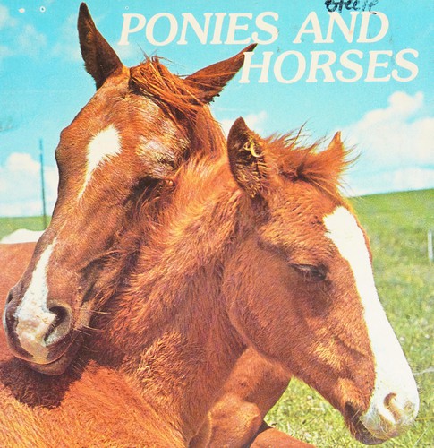 Ponies and horses
