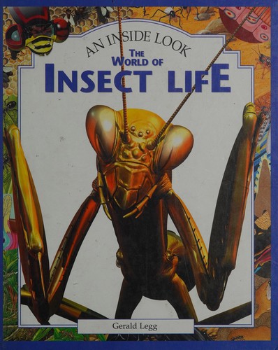 The World of Insect Life (An Inside Look)