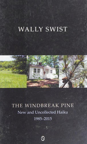 The windbreak pine