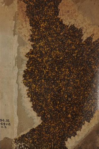 Recherches sur la culture de la pomme de terre