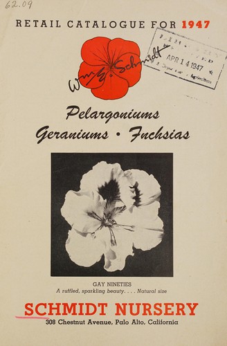 Pelargoniums, geraniums, fuchsias