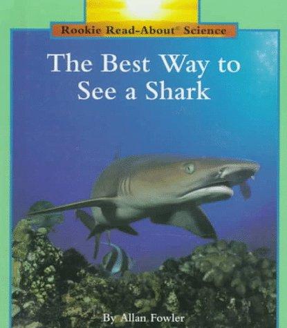 The best way to see a shark