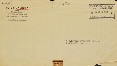 Peter Valinga at the Floral Arts Nursery