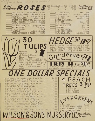 [Special price list of nursery stock]