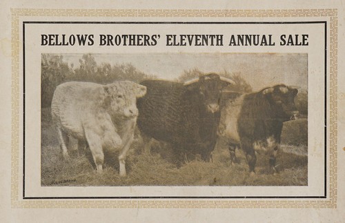 Eleventh annual sale catalogue Bellows short-horns