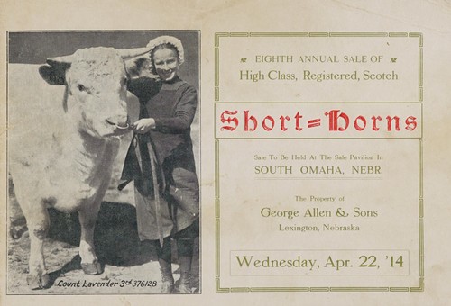 Eighth annual sale of high class, registered, Scotch short horn cattle