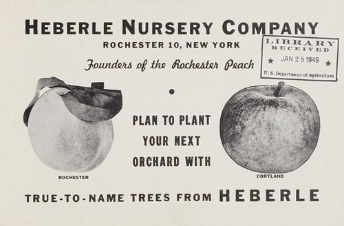 Plan to plant your next orchard with true-to-name trees from Heberle
