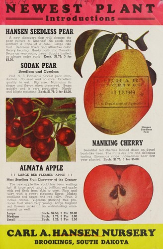 Newest plant introductions