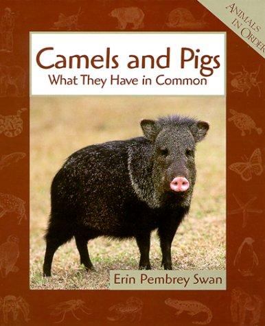 Camels and pigs