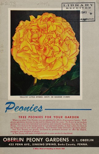 Peonies, tree peonies for your garden