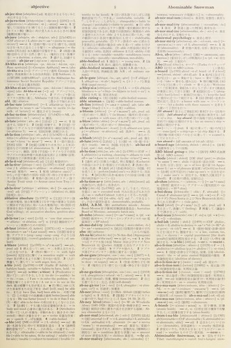 Kenkyusha's new English-Japanese dictionary